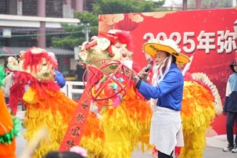 花灯盛景里的民俗华章