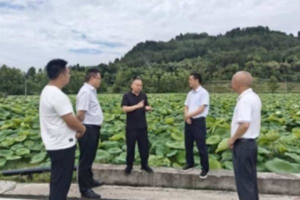四川达州市开江县人大常委会副主任刘茂堃到八庙镇督导调研稻渔提质扩面工作开展情况
