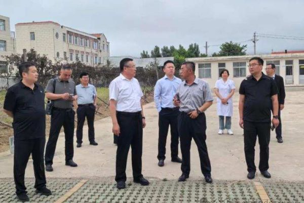 调研指导强根基  协同发展促提升