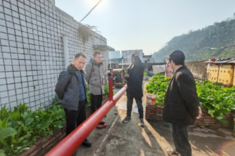 四川达州翠屏街道深学细悟强部署  实地核查促落实 扎实推进一季度&ldquo;三项重点工作&rdquo;落地见效