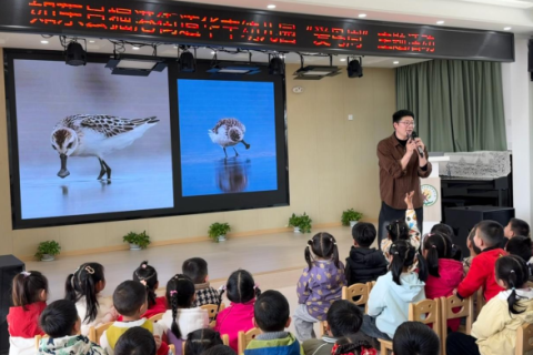 亲近湿地・守护候鸟&mdash;&mdash; 华丰幼儿园开展生态保护主题系列活动