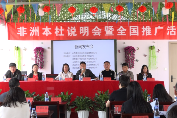 非洲&ldquo;本杜&rdquo;为乡村产业振兴注入新动能
