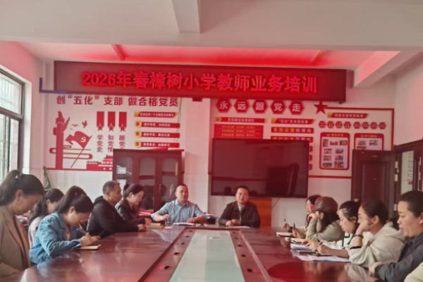 深耕教学促提升 交流互鉴共成长&mdash;&mdash;湖南邵阳市大祥区樟树小学开展教师业务能力培训