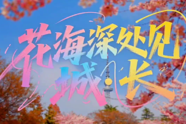 花海市南，漫享春光